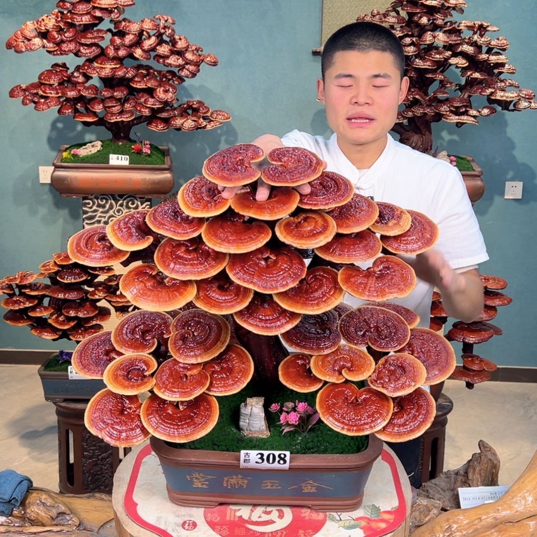 无花朵88888888888