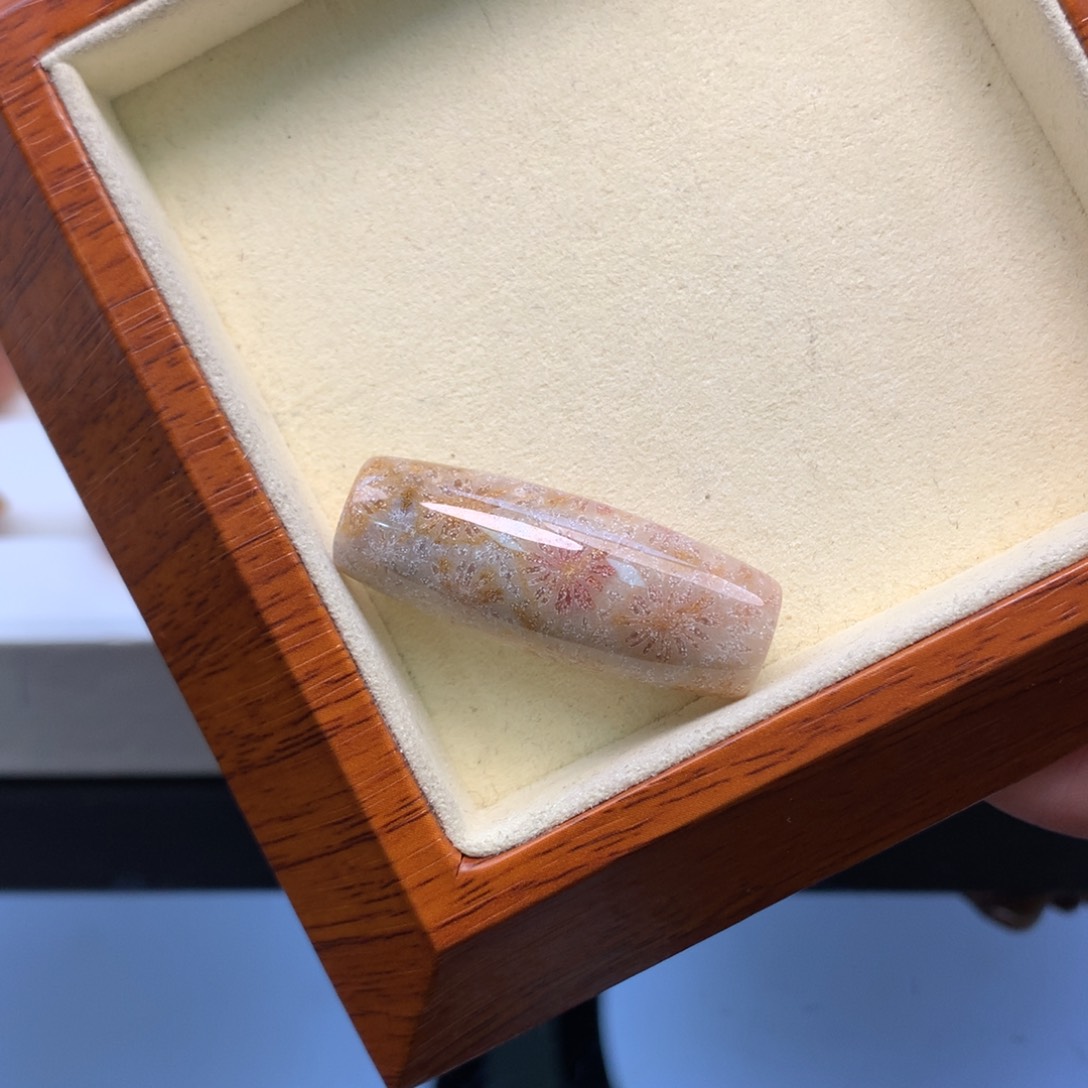 硅化珊瑚（珊瑚玉）颈饰未镶嵌