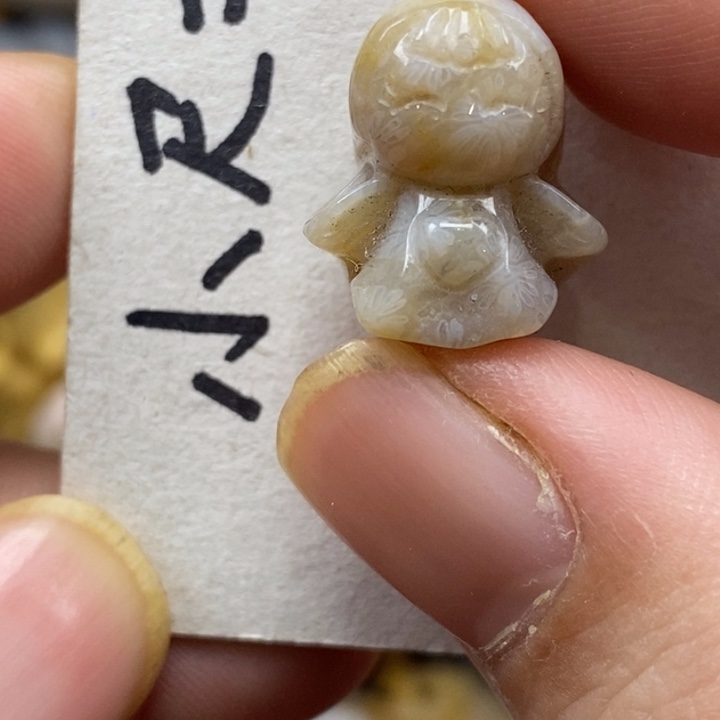 硅化珊瑚（珊瑚玉）未镶嵌颈饰