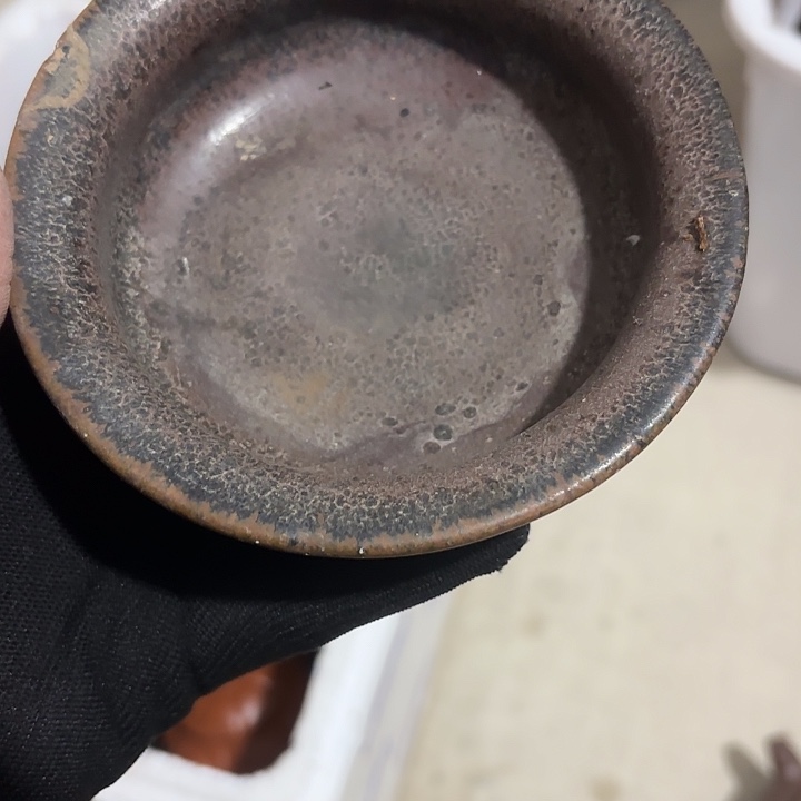 浅****杂色豆（科檀/科特迪瓦檀木）