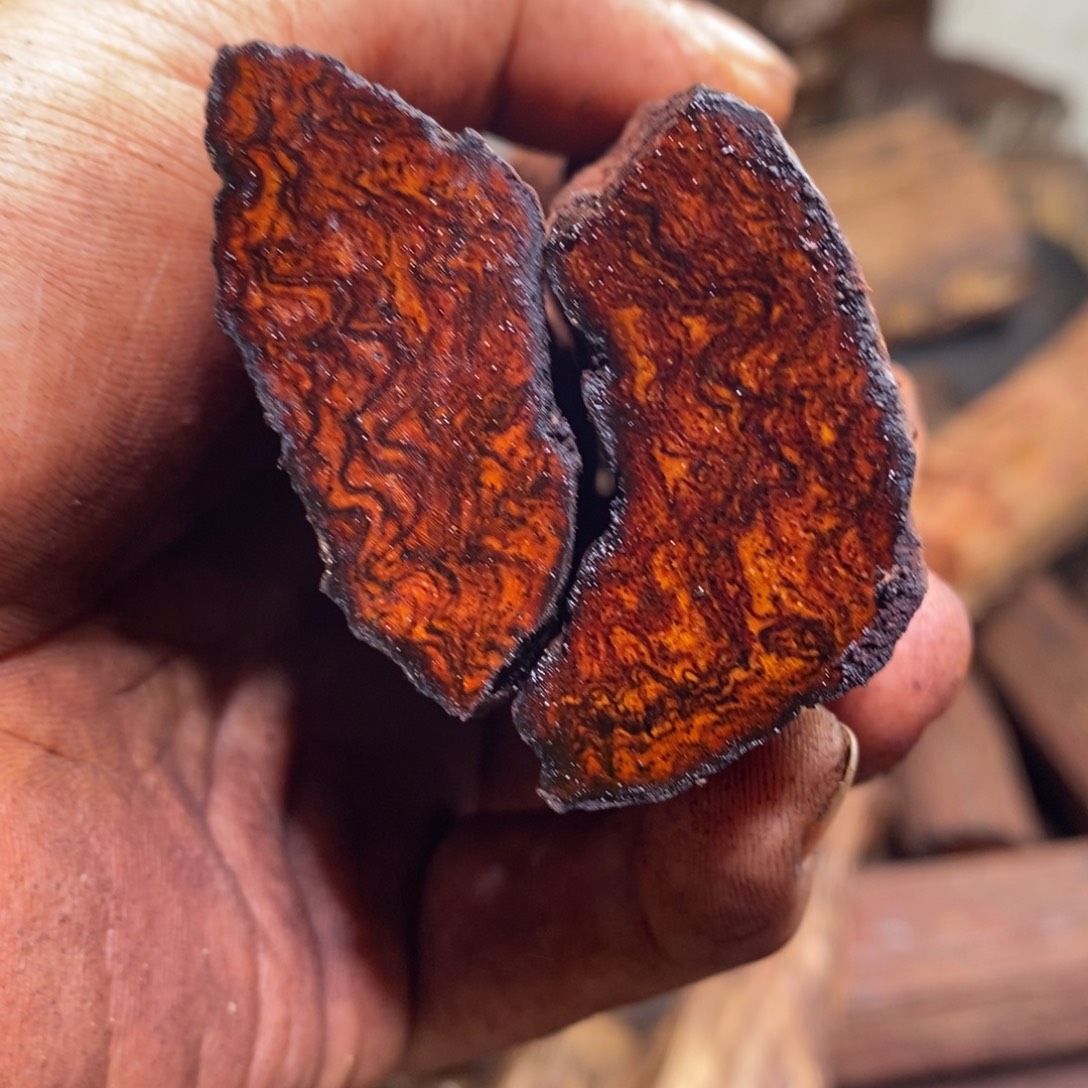 阿***甘有机玻璃在线阅读量突破