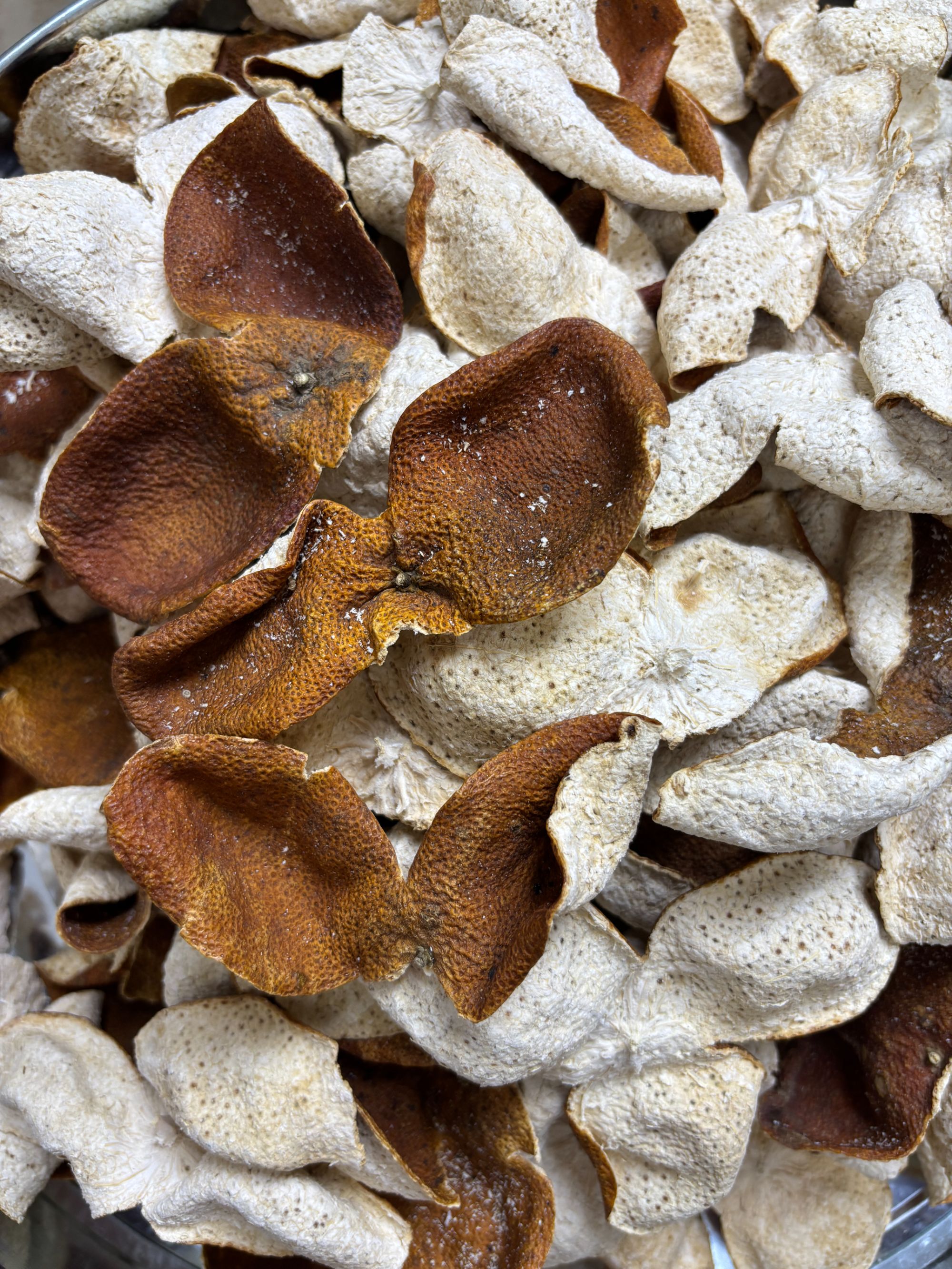 2024年天马圈枝茶枝柑冬后大红皮断皮可存可煮水煲汤