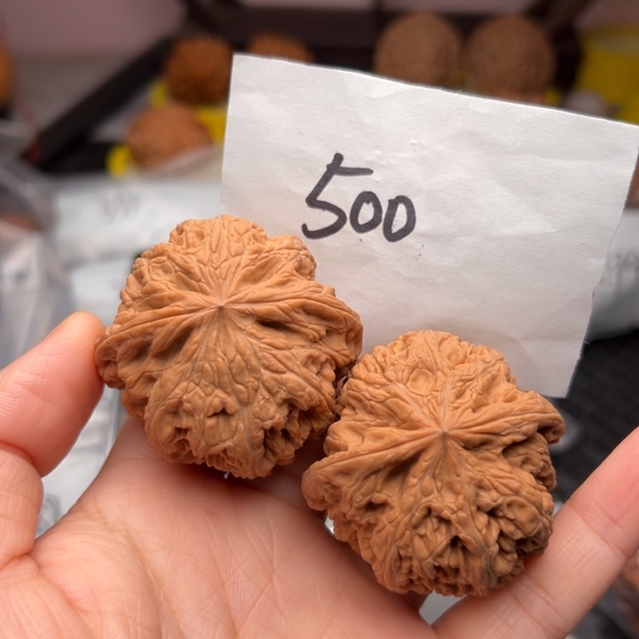核桃465尺寸全品粗筋