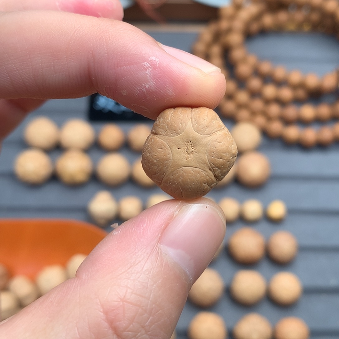吊坠凤眼菩提特价19+五星，非质量问题开孔不退