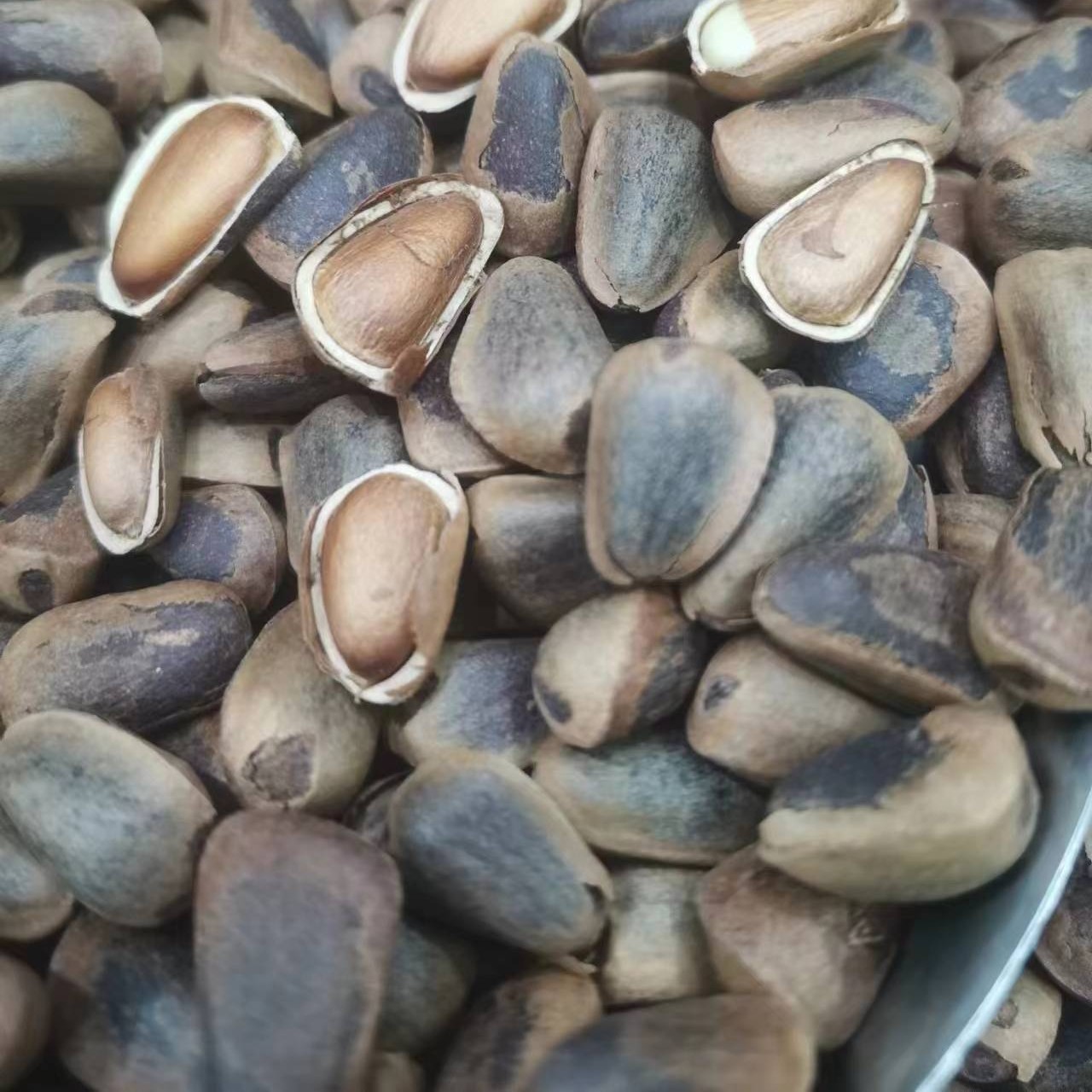 原味开口松子（大颗粒500克）