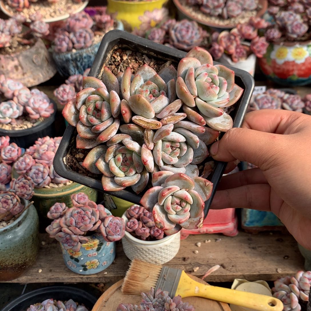 哈哈哈哈哈哈哈10