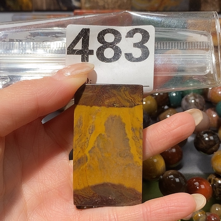 硅化玉未镶嵌天然北票树化玉吊坠