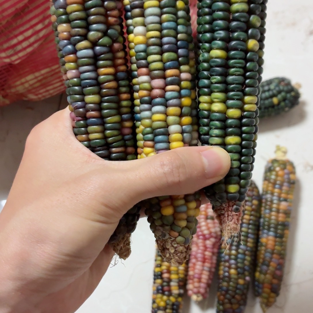 岁***i吊坠白玉菩提文玩精品文玩精品