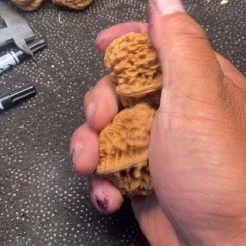 文玩核桃把件官帽3.3