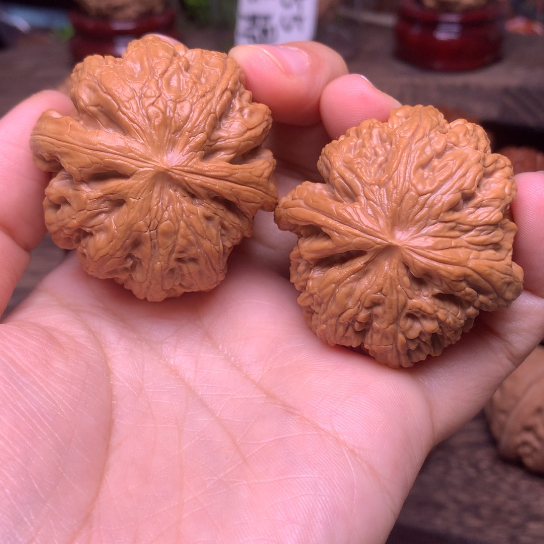 文玩核桃吊坠43粗筋