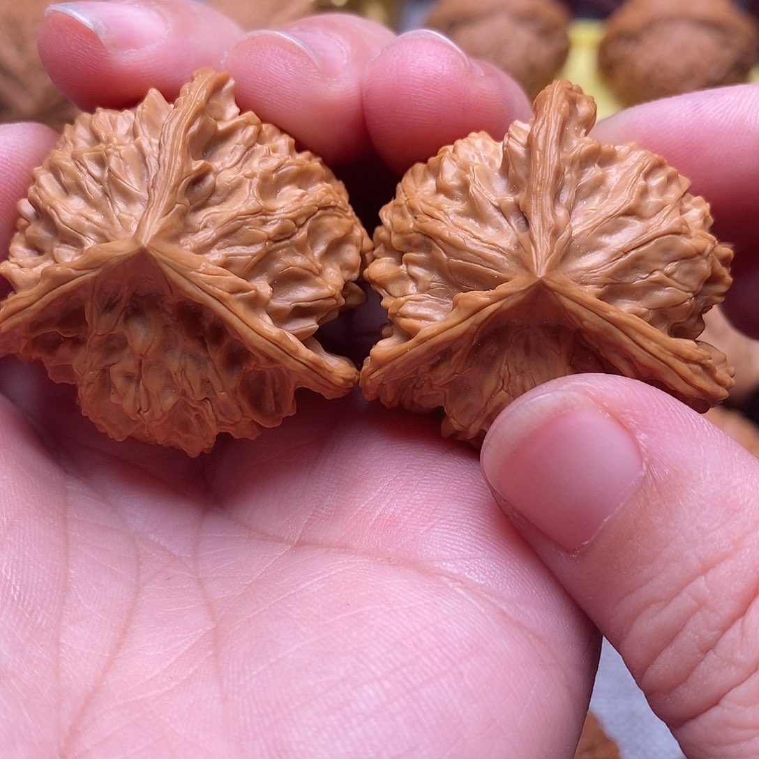 文玩核桃把件龙*依39全品盘山
