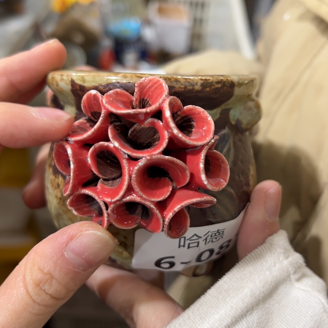 瑕疵满20米秒退拉黑花盆