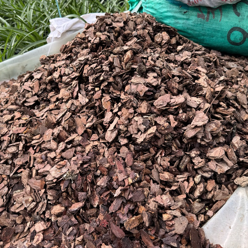 【曼丰花卉-松树皮】兰花专用 已杀菌 云南本地松树皮基地自用
