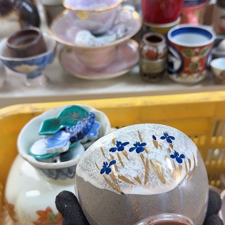 碗开播啦….开播啦