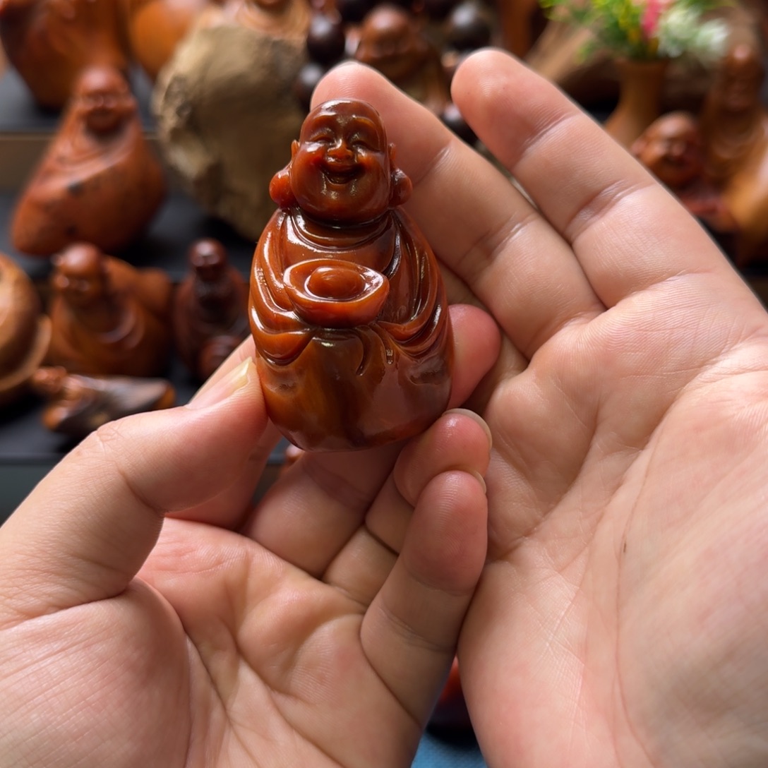 柏木（崖柏）太行崖柏