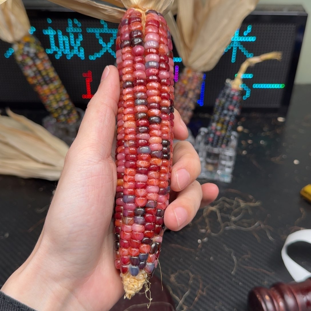 柏香籽/百香籽吊坠t****e