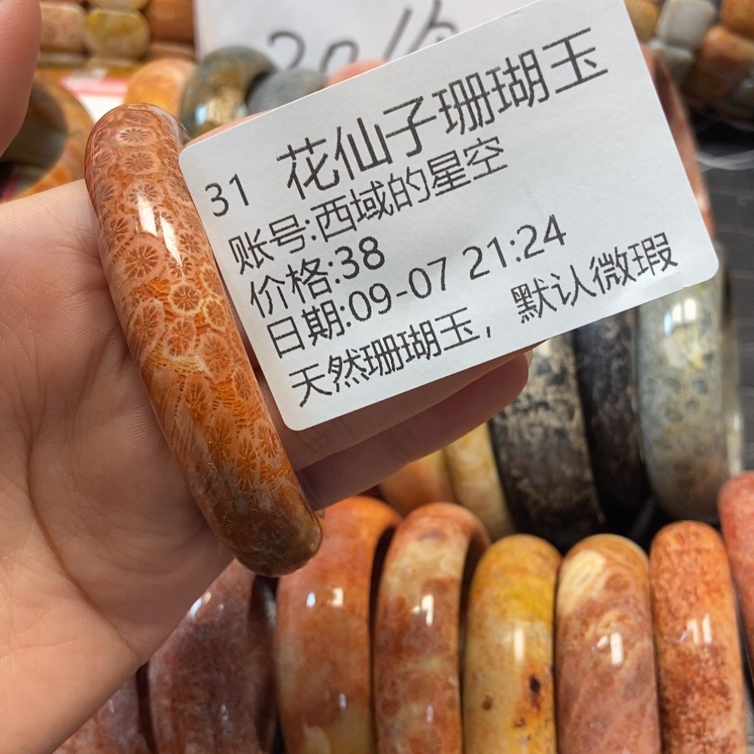 西***空未镶嵌硅化珊瑚（珊瑚玉）珠宝半成品31