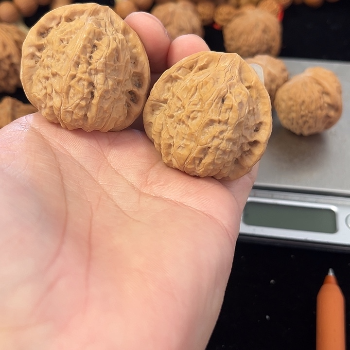 文玩核桃把件42左右练手南瓜墩，编号013