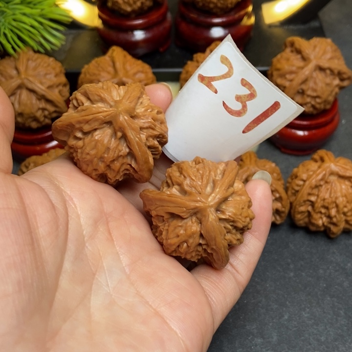 文玩核桃把件35尺寸231