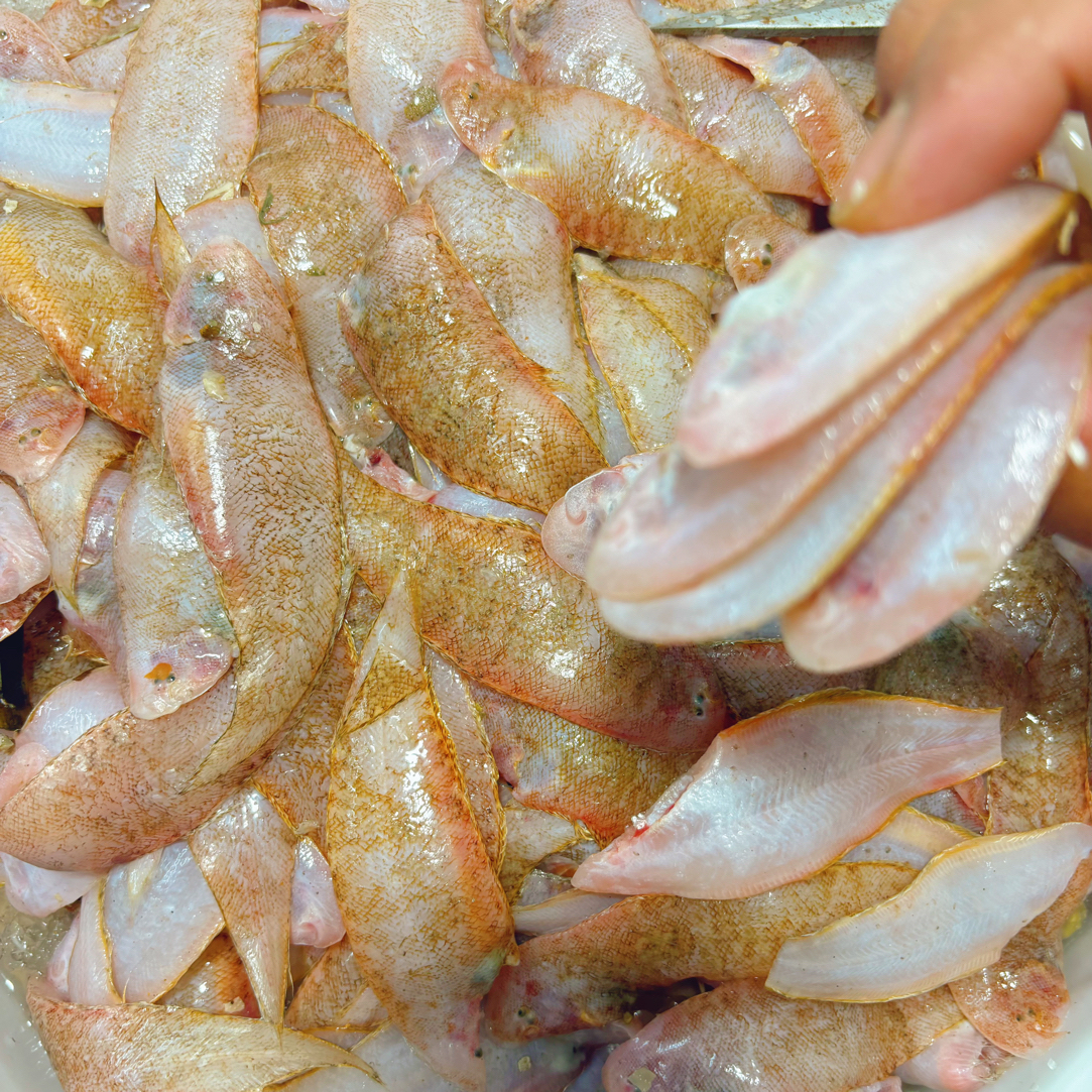 神泉本港厚内小龙舌5斤广东内包邮