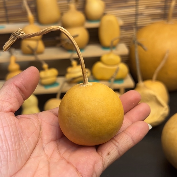 喝****e葫芦葫芦葫芦葫芦葫芦葫芦