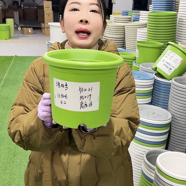 特价3号四季口21高18果绿10只无托