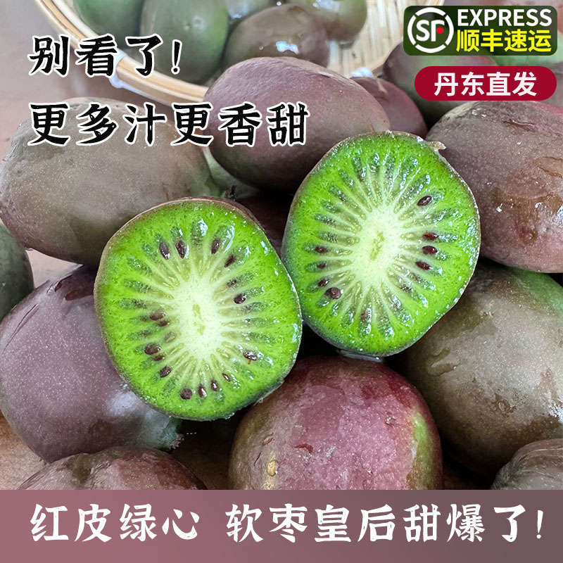 丹东特产软枣猕猴桃顺丰包邮龙城2号软枣奇异莓