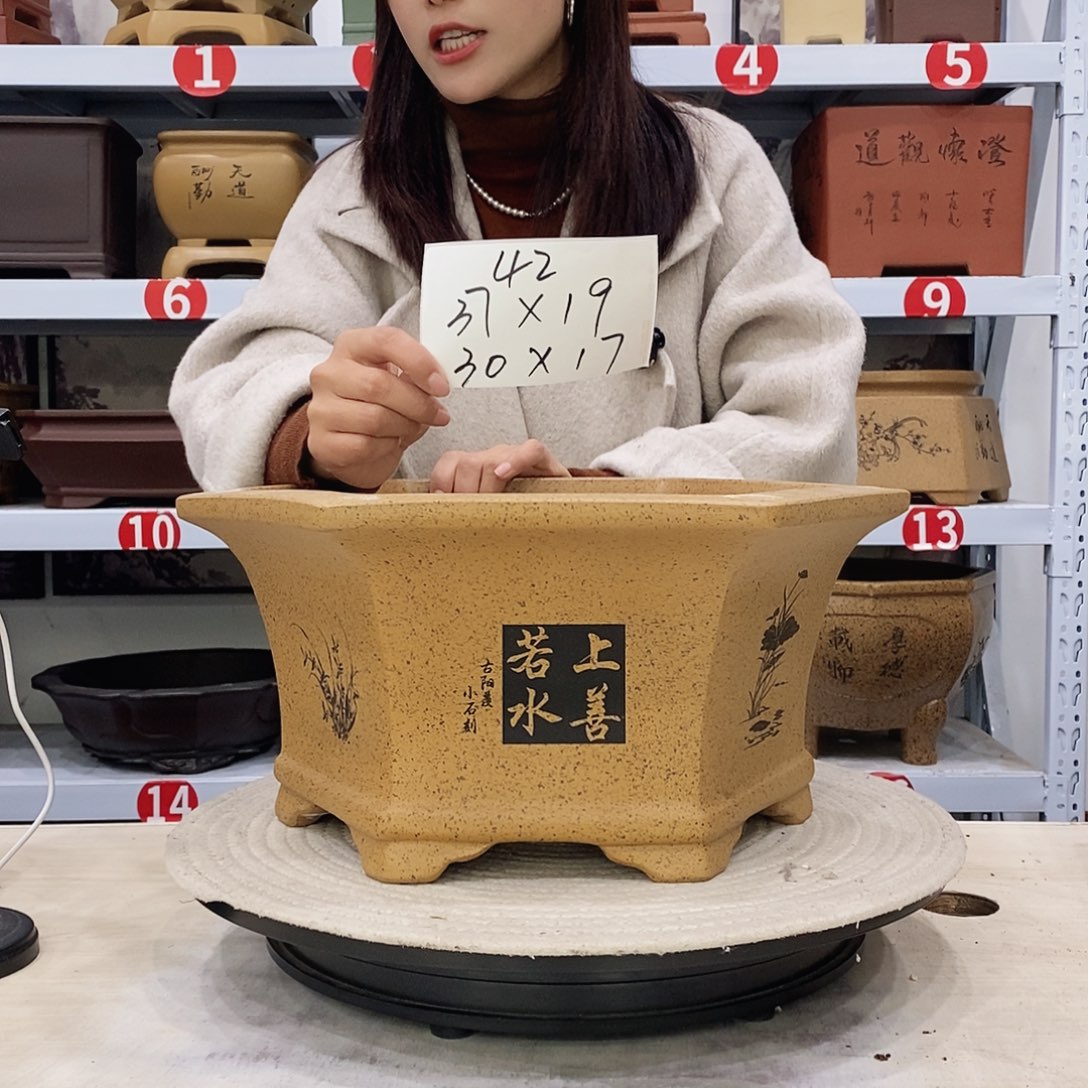 紫砂花盆紫砂花盆