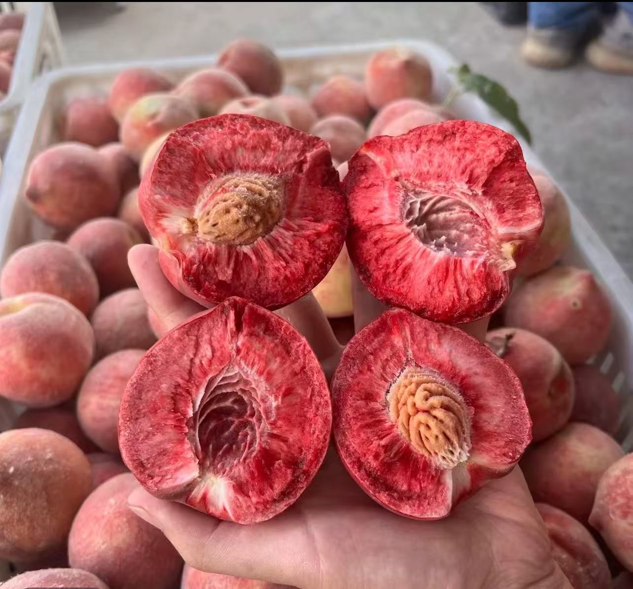 血桃正宗新鲜脆甜桃子当季现摘整箱助农孕妇水果毛桃红心桃子