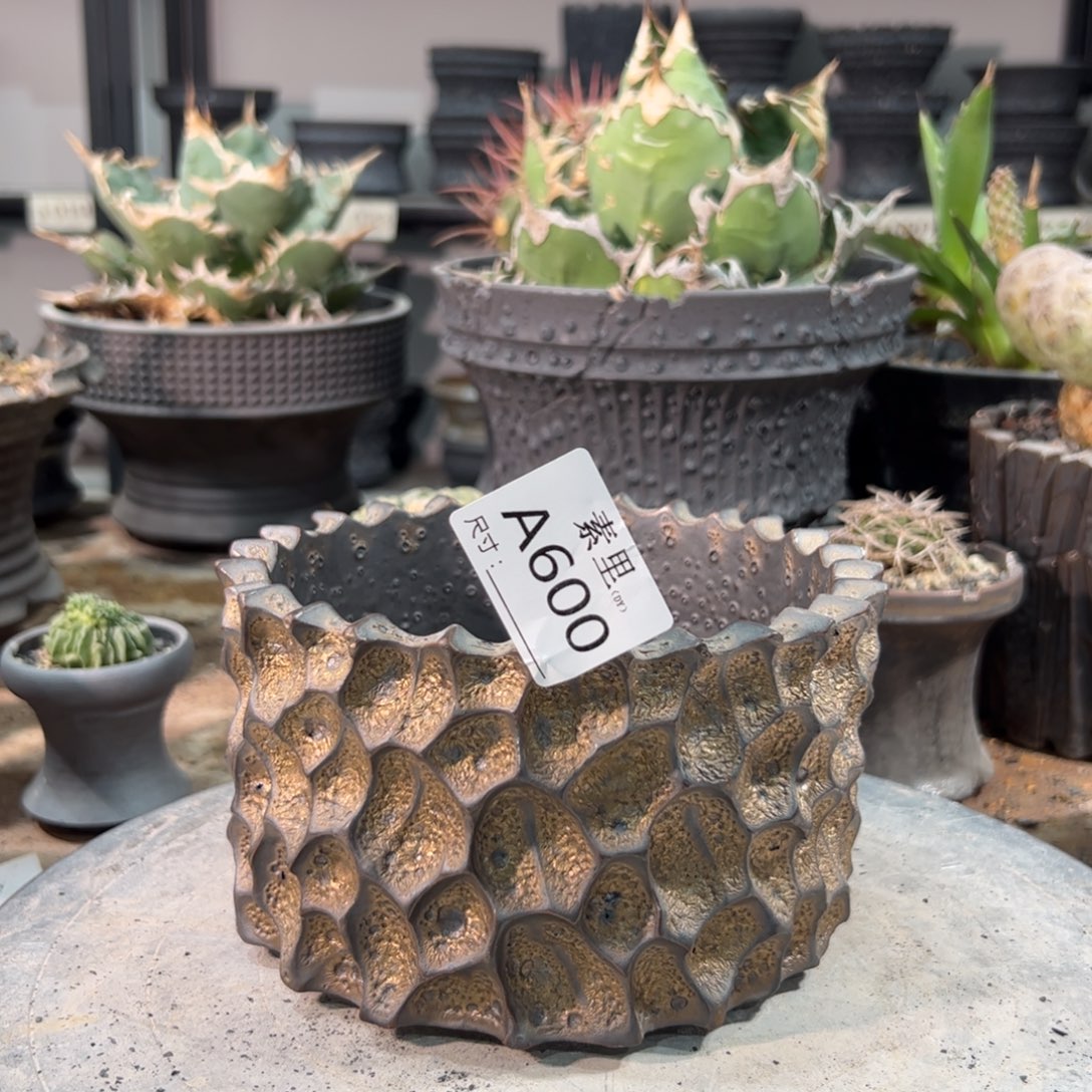 景德镇素里手工内口13.5高9瑕疵