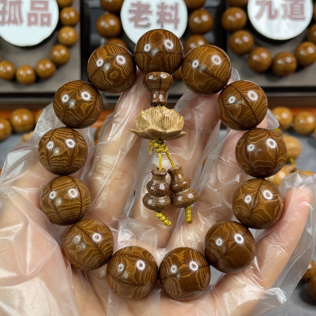 六道木枯树， 毕业1.8