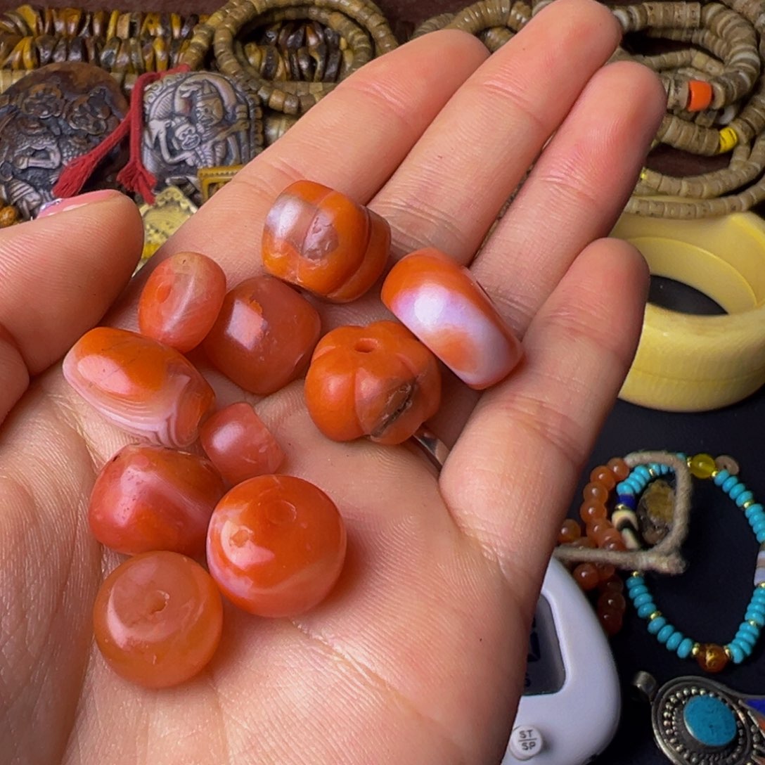 破布木（黑柿木）爱****后