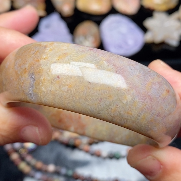 硅化珊瑚（珊瑚玉）颈饰未镶嵌54