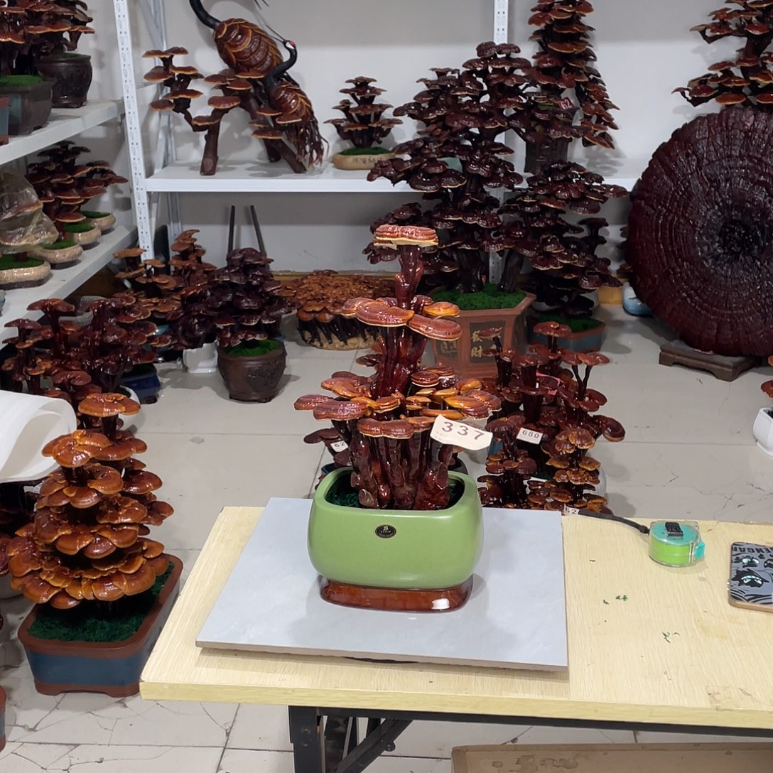 小***余无花朵8888888888888