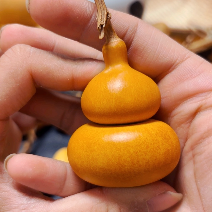 脉*星88888888888888898