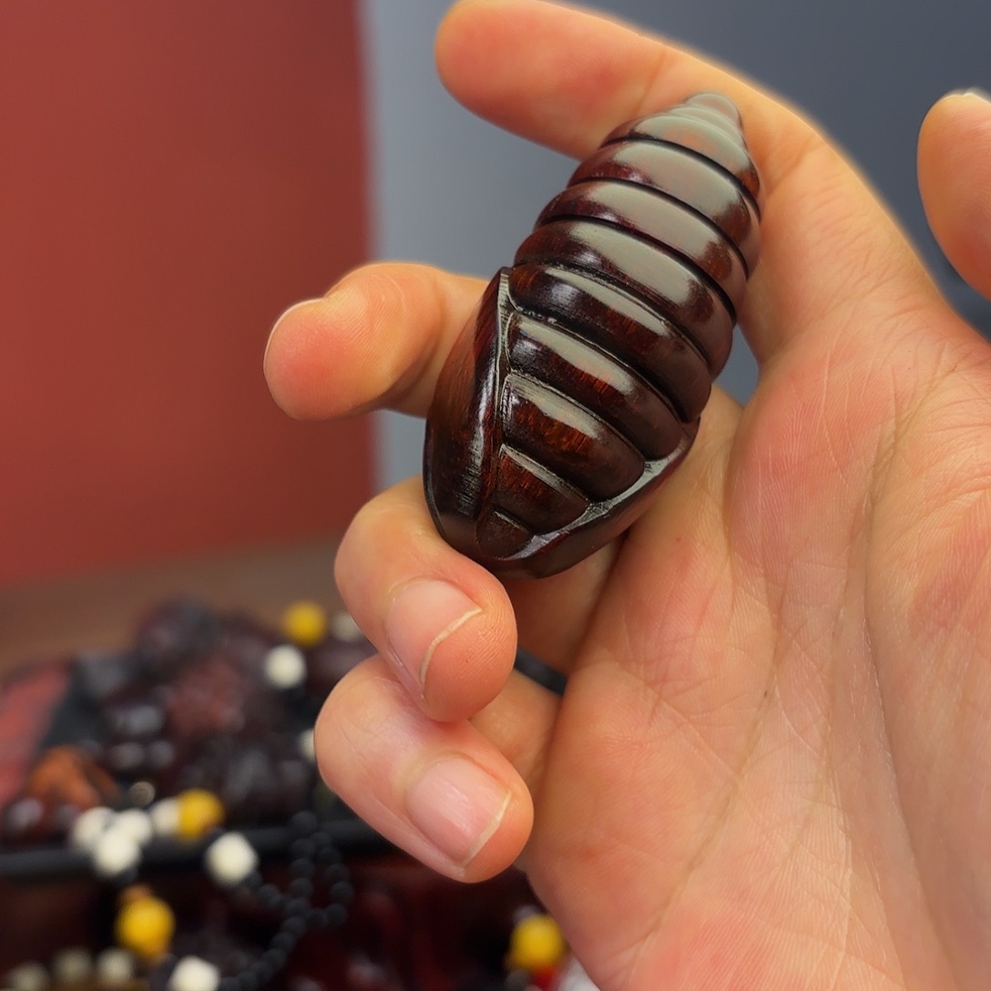 檀香紫檀（小叶紫檀）蛹