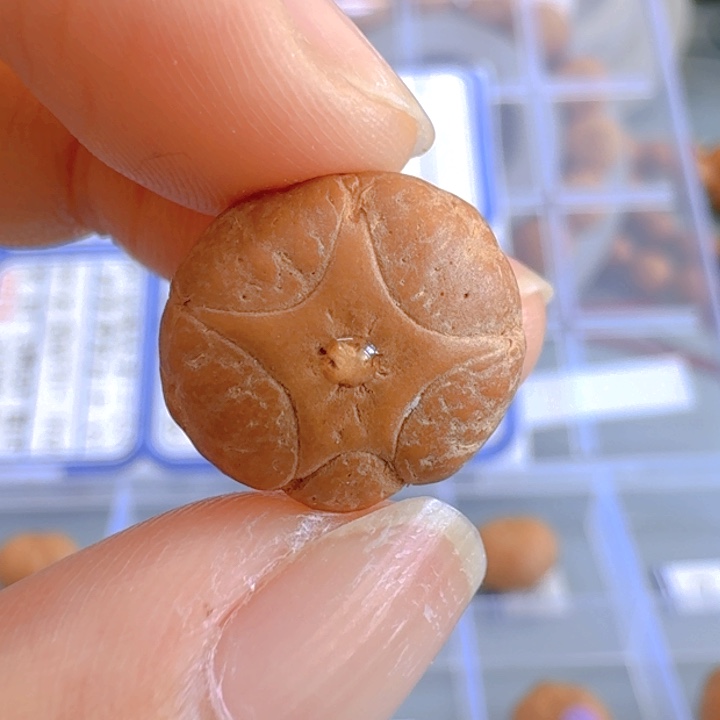 凤眼菩提吊坠15mm五星85@6882