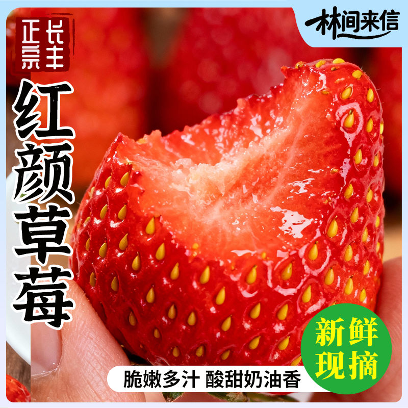 【小禾专属】正宗安徽长丰奶油红颜大草莓现摘现发