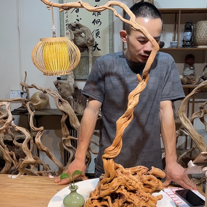 香榧木杜鹃花盛开着永不