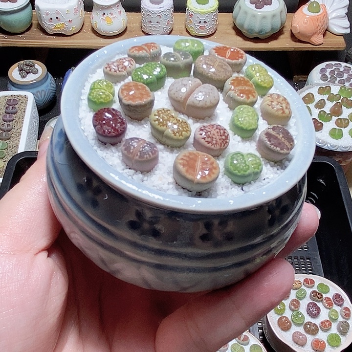 精美盆栽 一物一拍1610