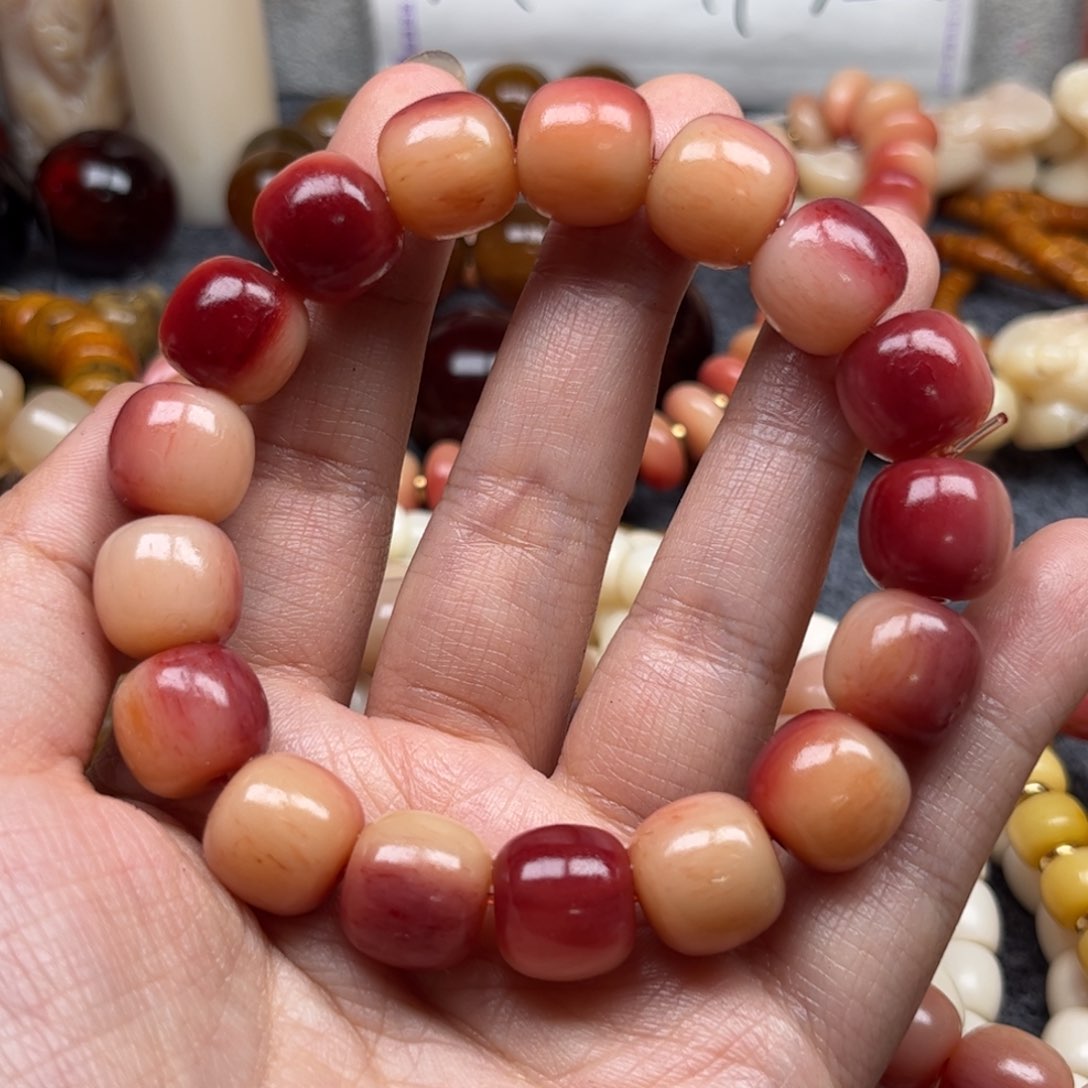 鹿骨其他【****®人工养殖驼骨112