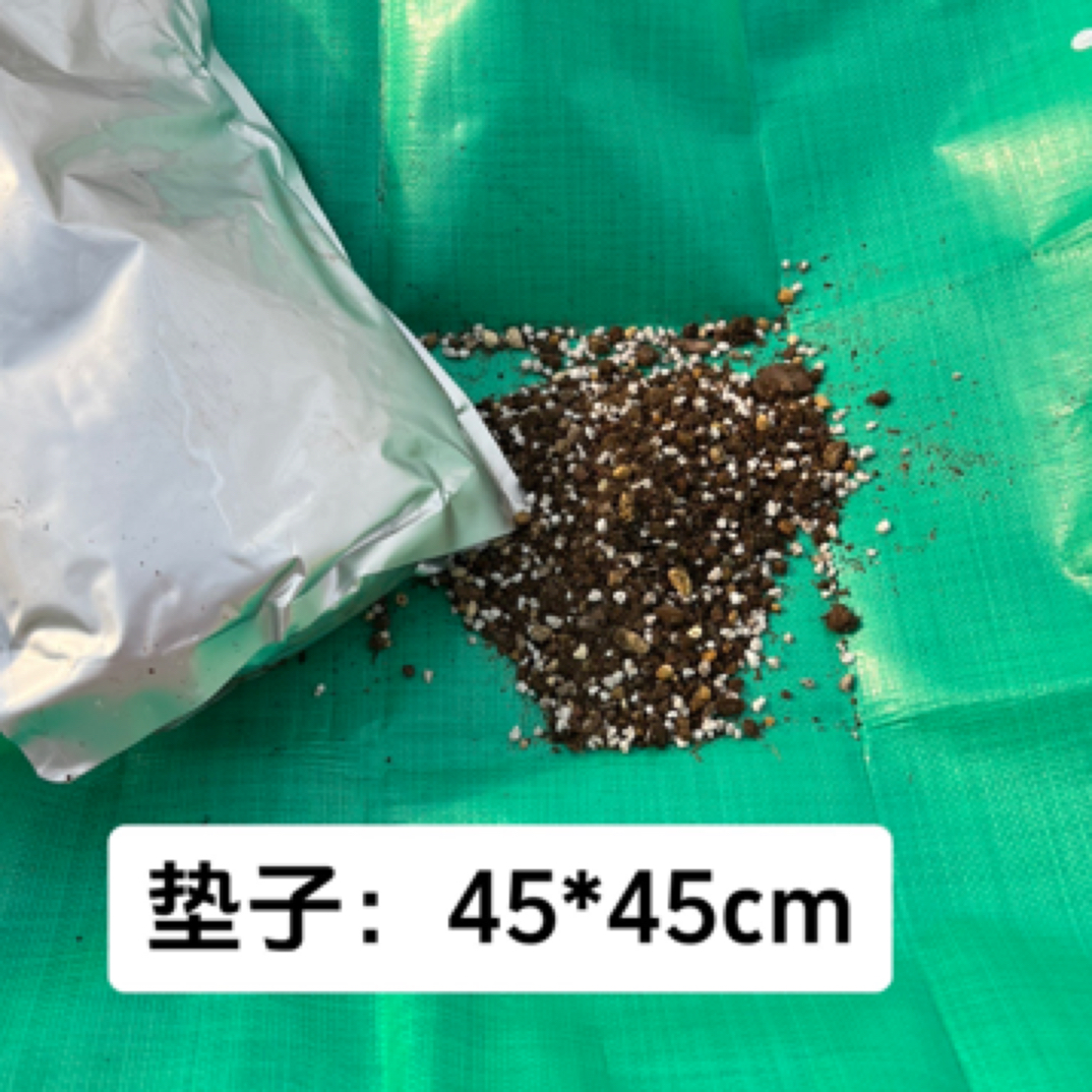 多肉土上色发根快30 硬颗粒+30软颗粒+40进口泥碳