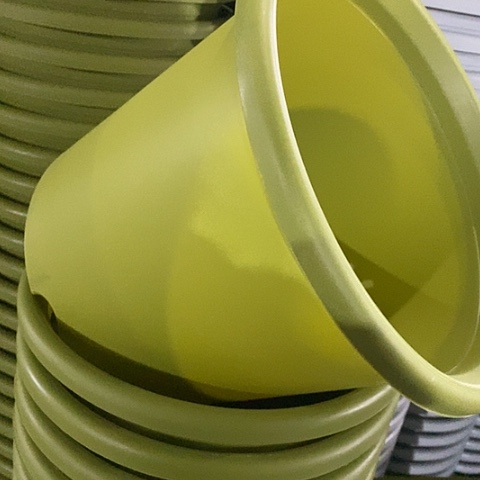 树脂四季6号微瑕果绿无托7个