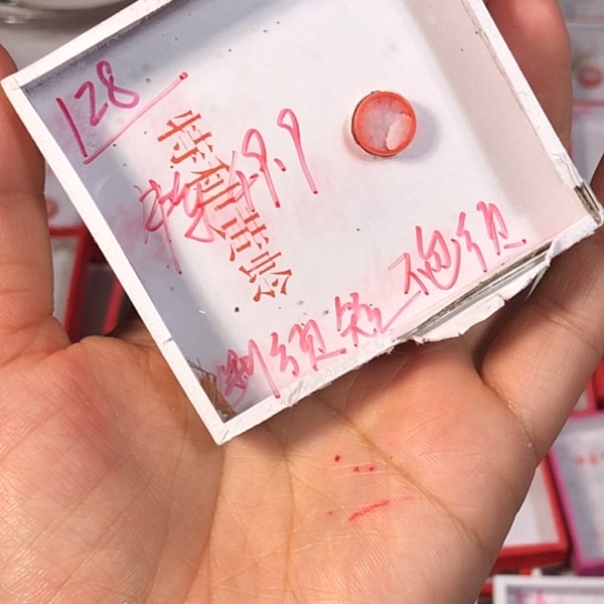 A***a蟋蟀33333333333333333333