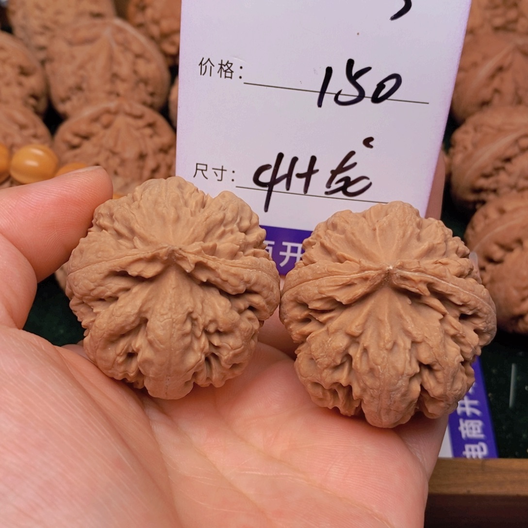 文玩核桃霸王龙核桃