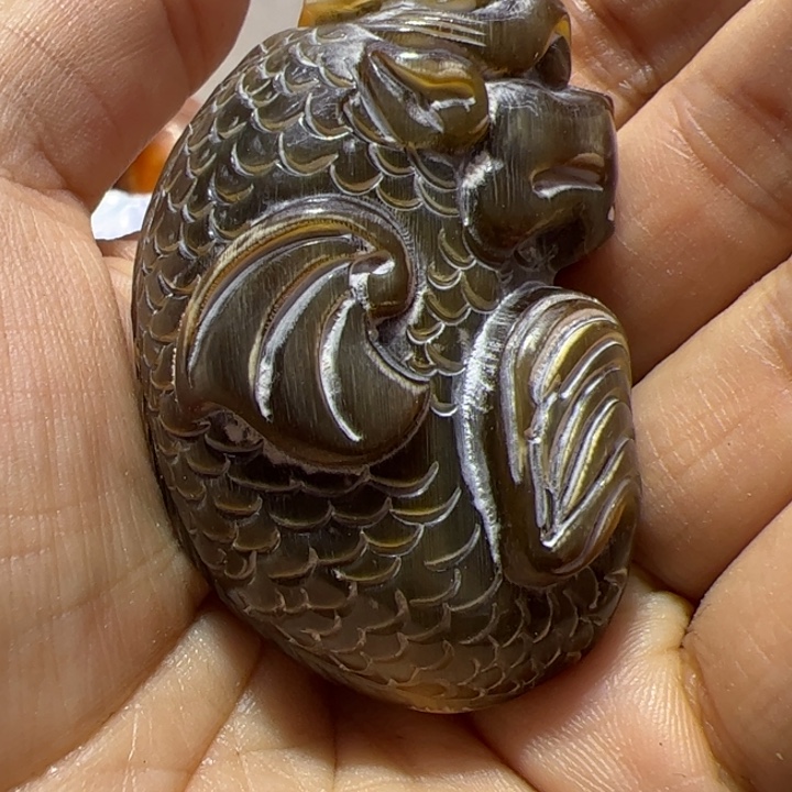 大果紫檀（缅甸花梨）射白鱼化龙