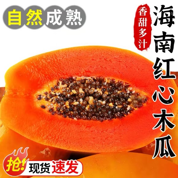 【京彩节节高福利款】海南红心木瓜新鲜水果产地直发树上熟红心木瓜