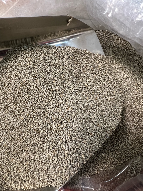 汕尾陆河本地芝麻．生芝麻．熟芝麻