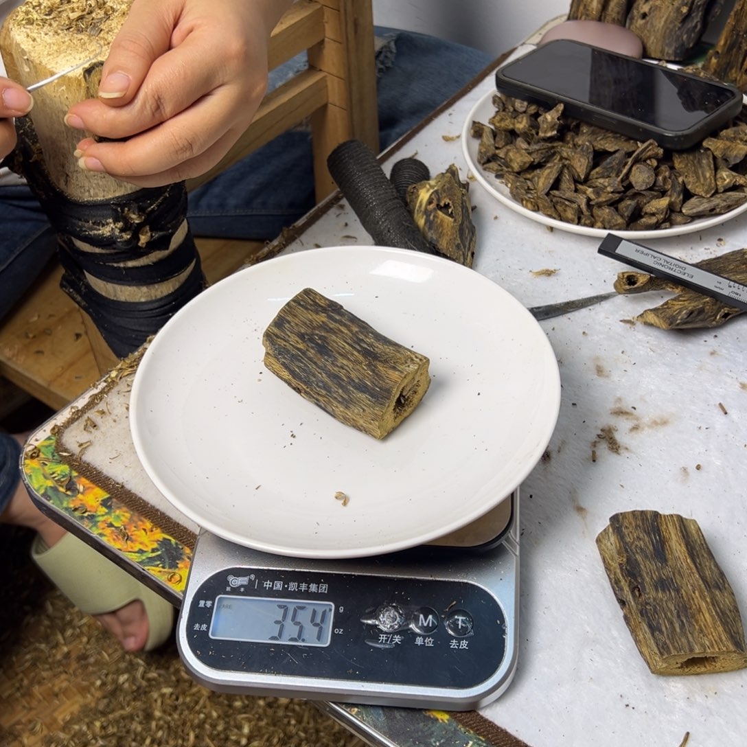 线香奇楠虫漏香35克