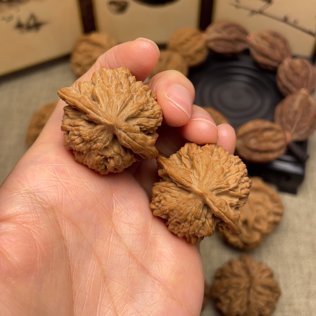 武***》把件文玩核桃秦岭核桃17号